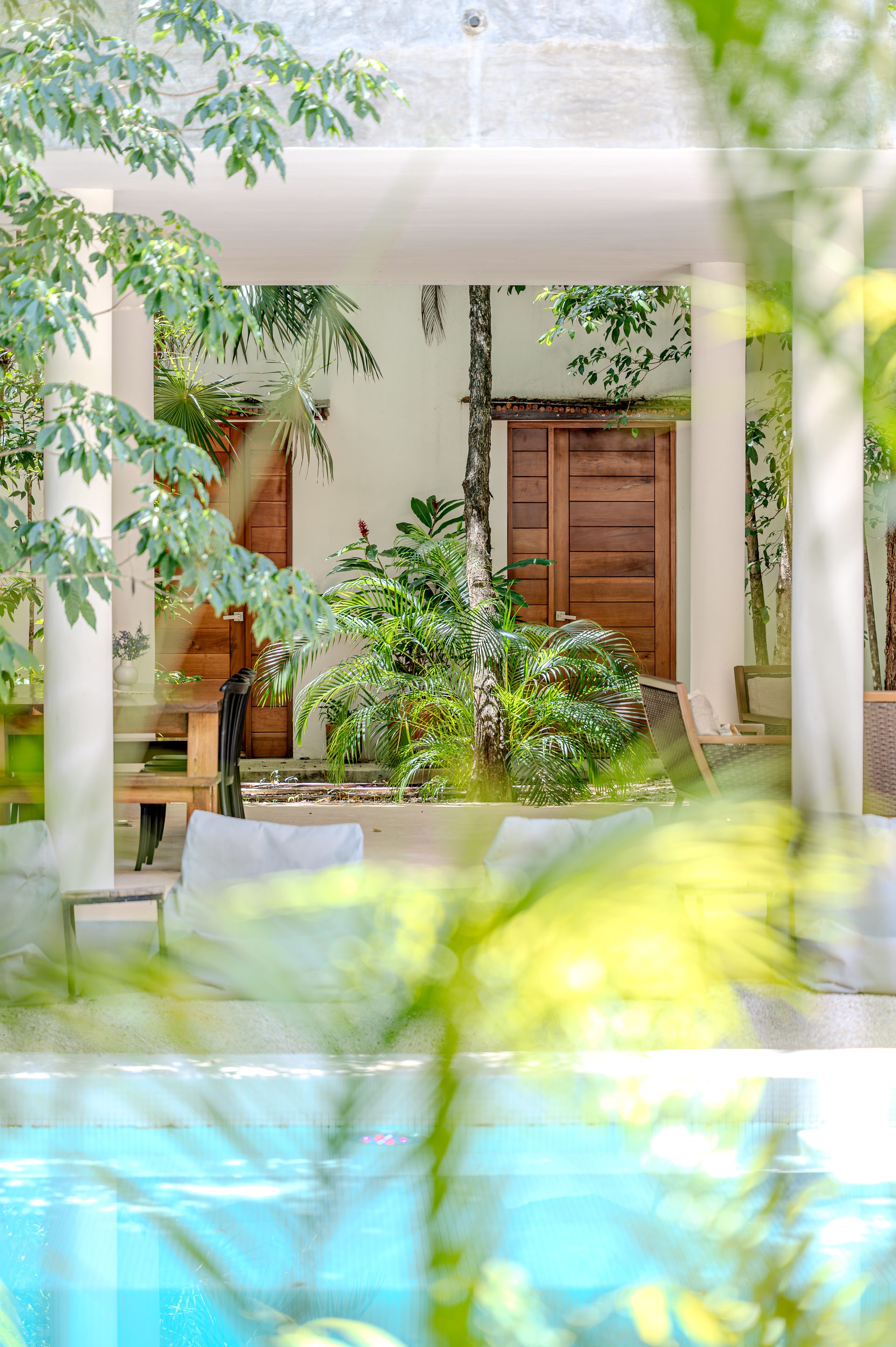 Coliving entero